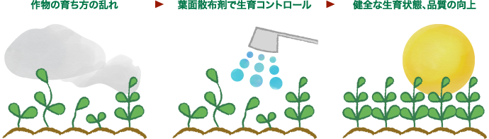 生育コントロール例
